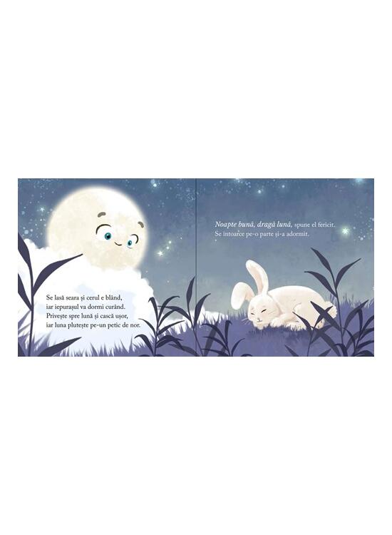 Copertă produs Noapte bună, dragă Lună - gallery big 2