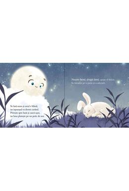 Copertă produs Noapte bună, dragă Lună