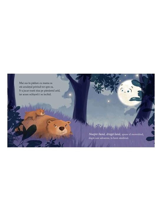 Copertă produs Noapte bună, dragă Lună - gallery big 3