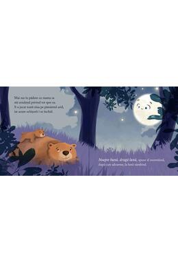 Copertă produs Noapte bună, dragă Lună