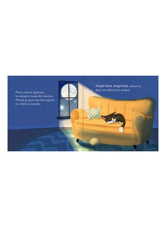 Copertă produs Noapte bună, dragă Lună - gallery big 4