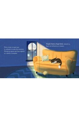 Copertă produs Noapte bună, dragă Lună