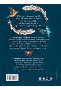Copertă produs Ornitografie