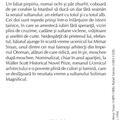 Copertă produs Ucenicul arhitectului (Top 10+) - gallery small 