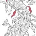 Copertă produs Semne de carte de colorat - Păsări de foc - gallery small 