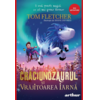 Copertă produs Crăciunozaurul și Vrăjitoarea Iarnă (Vol. 2)
