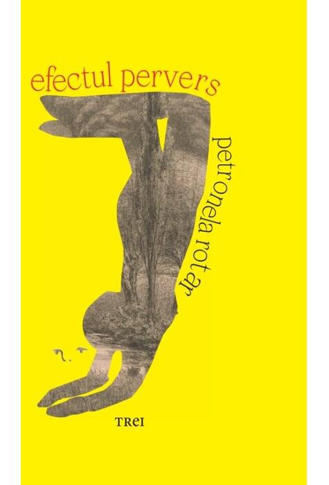 Copertă produs Efectul pervers