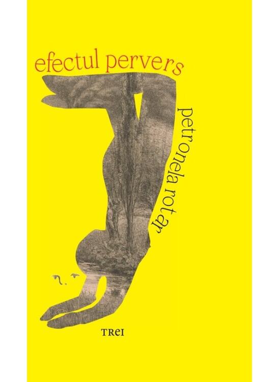 Copertă produs Efectul pervers - gallery big 1