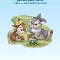 Copertă produs Disney Iepurasi. Bocănilă găsește un ou - gallery small 