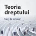 Copertă produs Teoria dreptului. Caiet de seminar - gallery small 