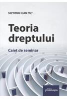 Copertă produs Teoria dreptului. Caiet de seminar