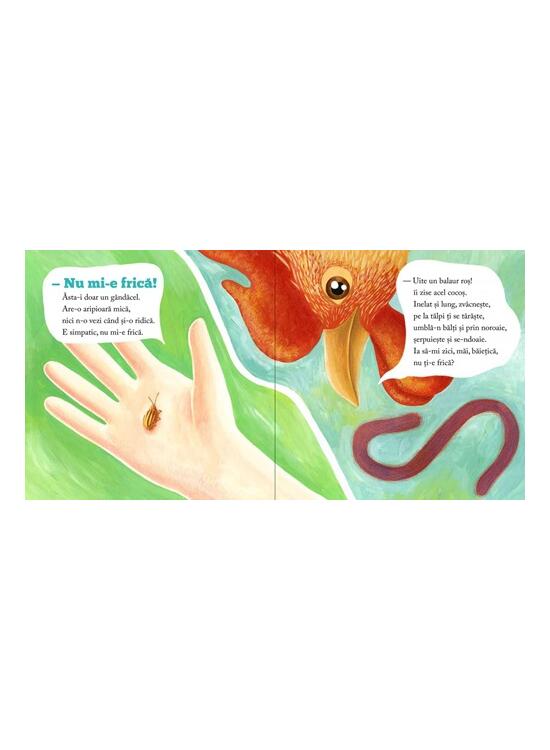 Copertă produs Băiețică Numiefrică - gallery big 3