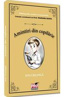 Imagine produs Amintiri din copilărie