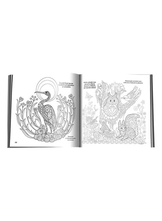 Copertă produs Pădurea vrăjită - gallery big 3