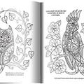 Copertă produs Pădurea vrăjită - gallery small 