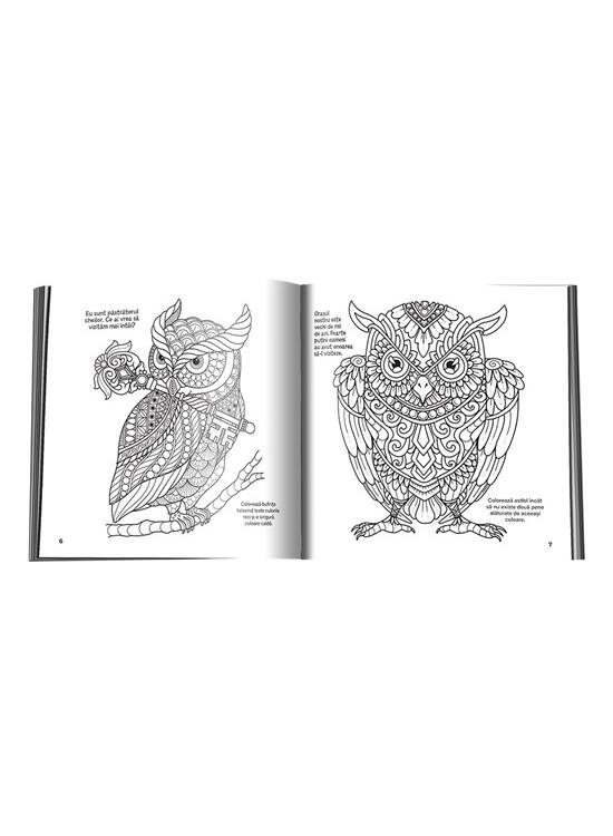 Copertă produs Bufnițe înțelepte - gallery big 2