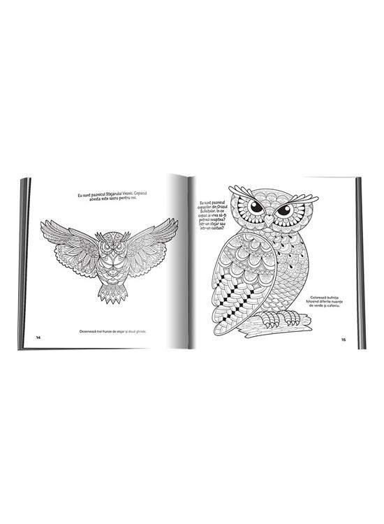 Copertă produs Bufnițe înțelepte - gallery big 3