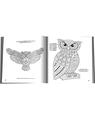 Copertă produs Bufnițe înțelepte - thumb 3