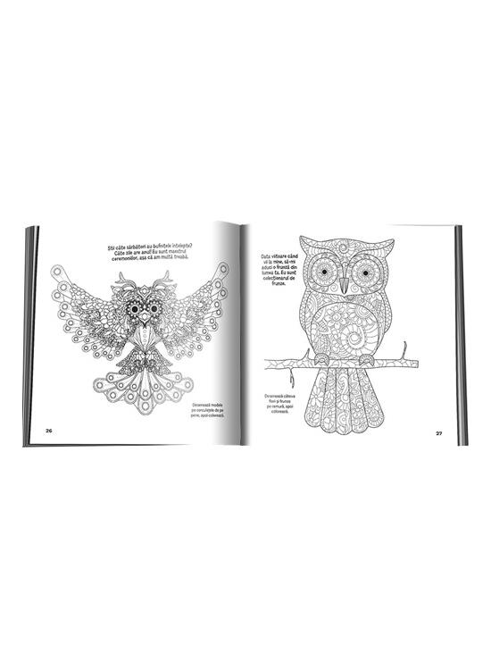 Copertă produs Bufnițe înțelepte - gallery big 4