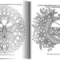 Copertă produs Fluturi fermecați - gallery small 