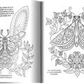Copertă produs Fluturi fermecați - gallery small 
