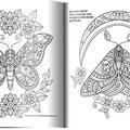 Copertă produs Fluturi fermecați - gallery small 