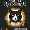 Copertă produs Răzbunarea lui Stea &Icirc;naltă (Vol. 5) - gallery small 