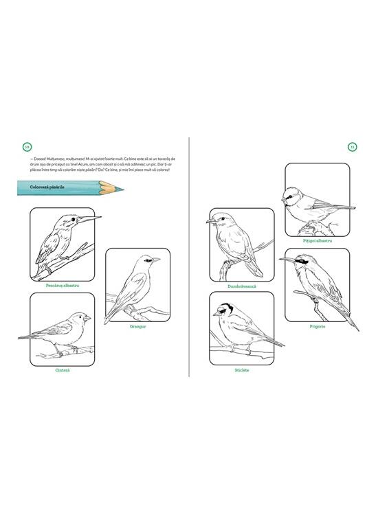 Copertă produs Jup. Explorator în parc - gallery big 3
