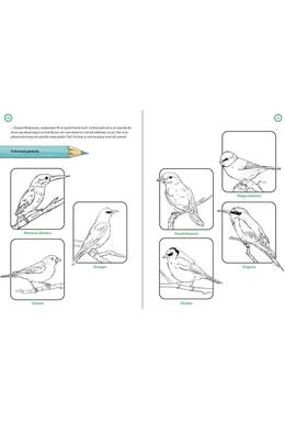 Copertă produs Jup. Explorator în parc