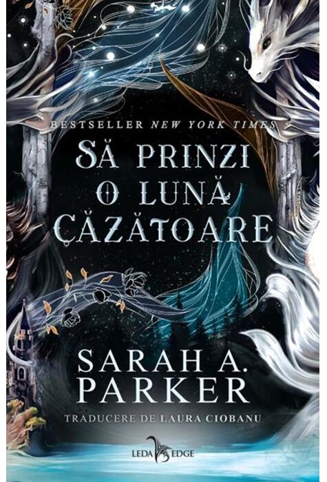 Copertă produs Să prinzi o lună căzătoare (Vol. 1)