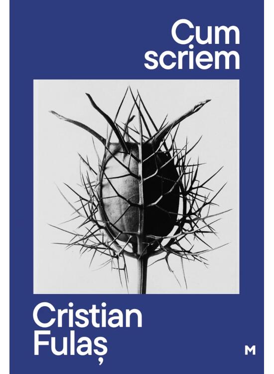 Copertă produs Cum scriem - gallery big 1