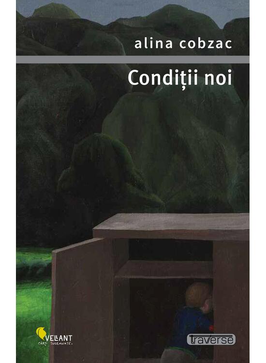 Copertă produs Condiții noi - gallery big 1
