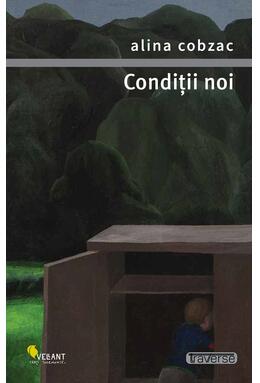 Copertă produs Condiții noi