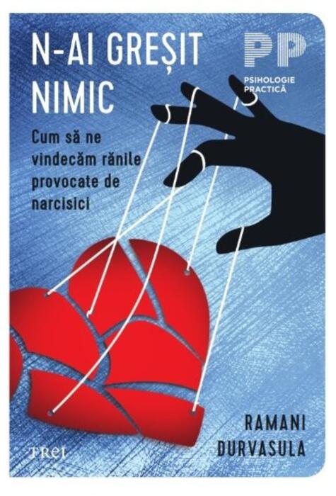 Copertă produs N-ai greșit nimic