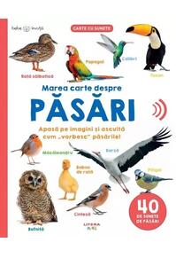 Copertă produs Bebe &icirc;nvață. Marea carte despre păsări