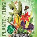 Copertă produs Enciclopedia cunoașterii. Plante și fungi - gallery small 