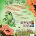 Copertă produs Enciclopedia cunoașterii. Plante și fungi - gallery small 