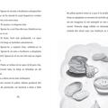 Copertă produs Cu drag, Bucurie - gallery small 