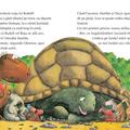 Copertă produs Micul dragon Coconut. Să nu &icirc;ți fie teamă! - gallery small 