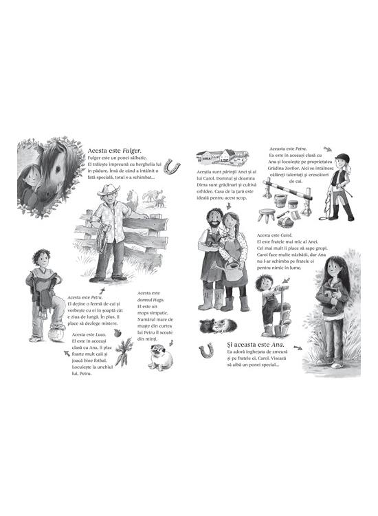 Copertă produs Aventuri cu ponei. Ana și magia poneiului (Vol. 1) - gallery big 3