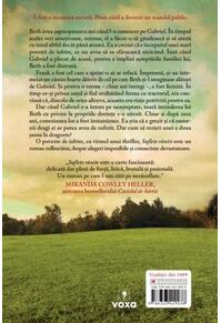 Copertă produs Suflete rănite