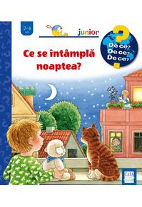 Copertă produs Ce se întâmplă noaptea?