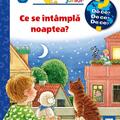 Copertă produs Ce se &icirc;nt&acirc;mplă noaptea? - gallery small 