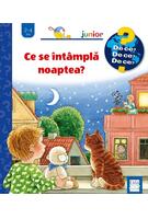 Ce se &icirc;nt&acirc;mplă noaptea?