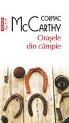 Oraşele din c&acirc;mpie