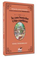 Imagine produs &Icirc;n casa bunicilor. Ulița copilăriei