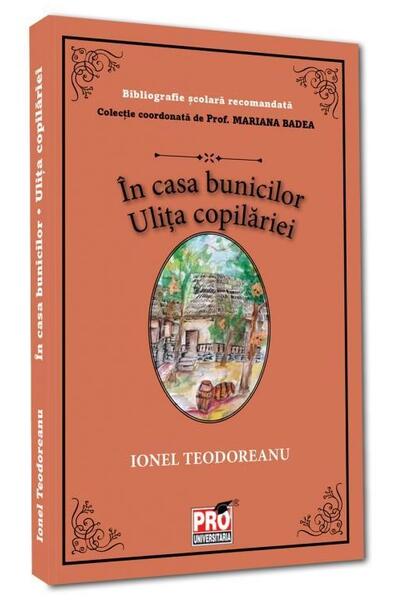 &Icirc;n casa bunicilor. Ulița copilăriei