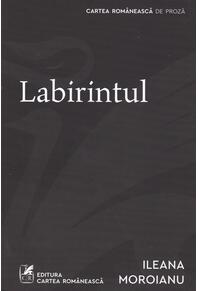 Copertă produs Labirintul