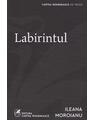 Copertă produs Labirintul - thumb 1