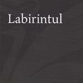 Copertă produs Labirintul - gallery small 